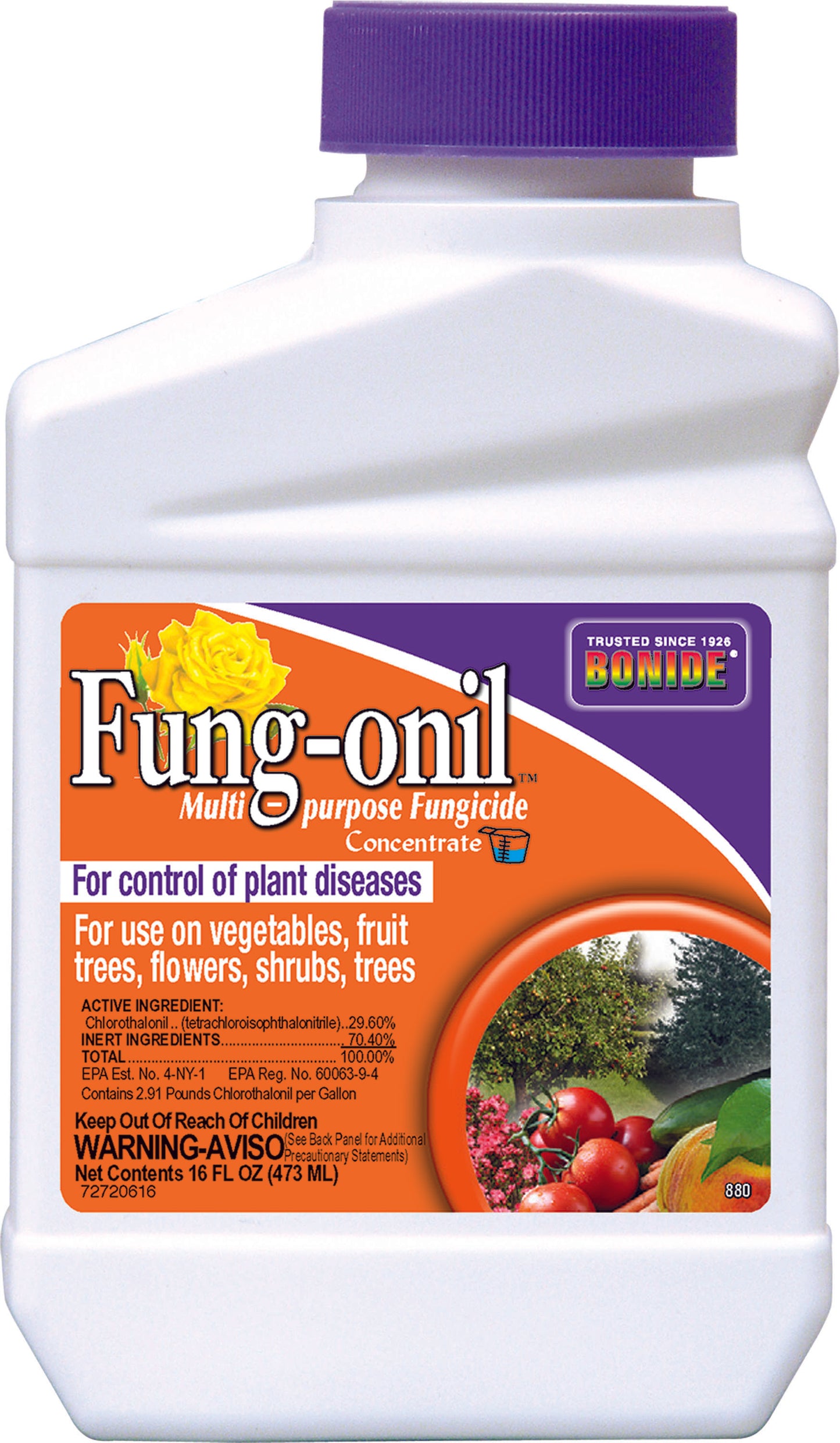 Bonide Fung-Onil Multi-Purpose Fungicide Conc
