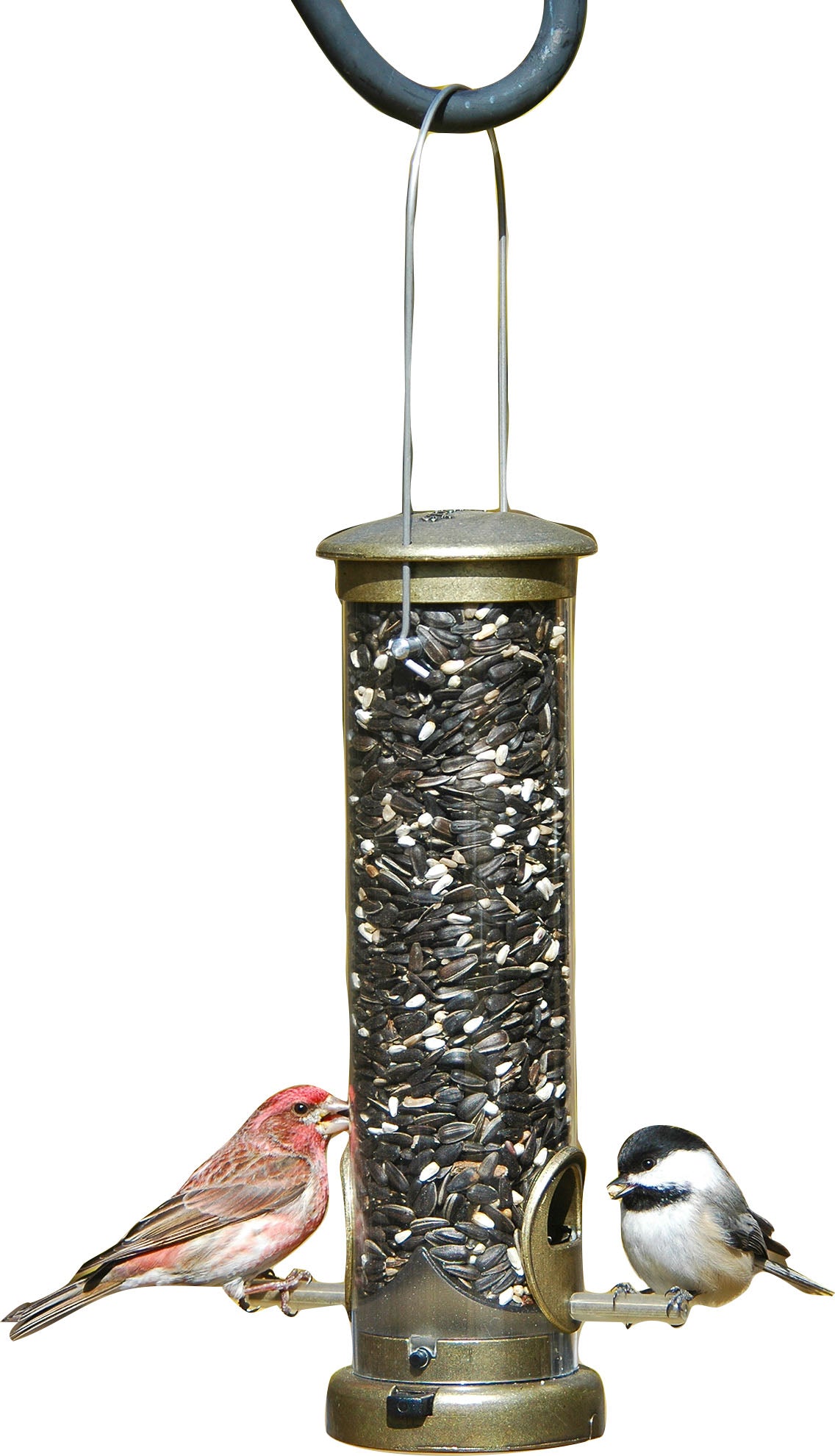 Quick-Clean Seed Tube Feeder