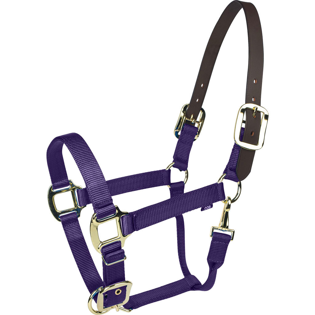 Gatsby Gold Nylon Breakaway Halter
