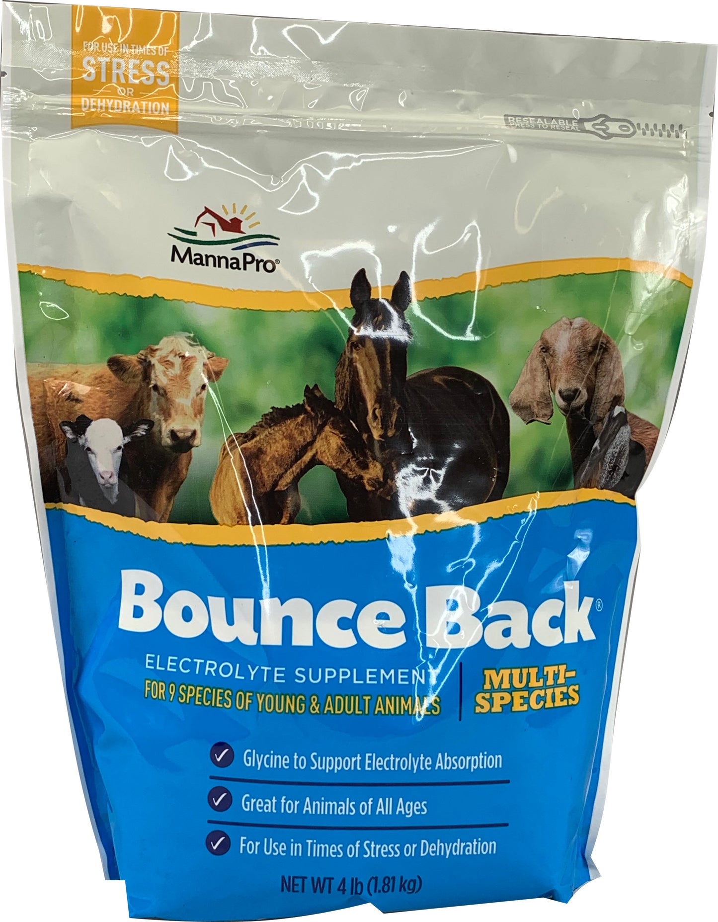 Bounce Back Multi-Species Electrolyte Supplement