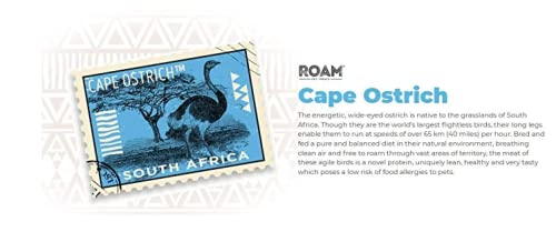 ROAM Pet Treats 4 Pack of Gone Wild Bones, Small, Cape Ostrich