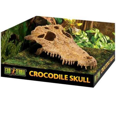 Exo Terra Crocodile Skull Terrarium Decor Hideout for Reptiles and Amphibians