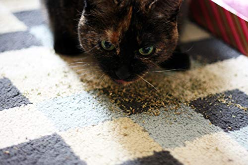 Meowijuana Whisker Tickler Catnip, Chamomile & Dandelion Blend for Cats, .917...