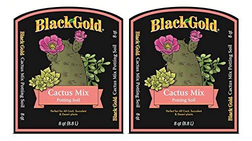 Sun GRO Horticulture 1410602.Q08P Black Gold Cactus Mix (8 qt) (2 Pack)
