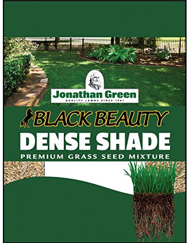 Jonathan Green JOG10600 40600 Dense Shade Grass Seed, 3 lb, 3-Pound