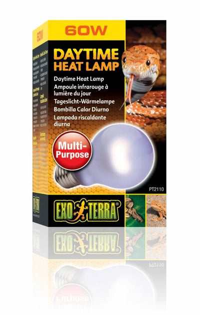Exo Terra Sun-Glo Neodymium A19 Lamp, 60-Watt (4 Pack)