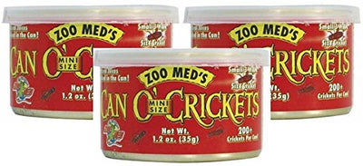 Zoo Med Can O' Mini Size Crickets, 1.2 Ounces, Reptile Bird and Fish Food