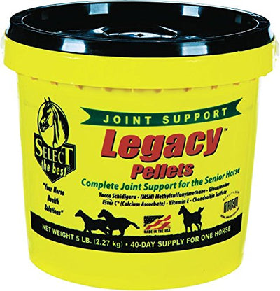 RICHDEL 784299540507 Legacy Pellets Joint Support for Senior Horses, 5 lb