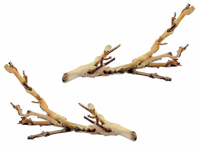 (2 Pack) Exo Terra Forest Branch, Small