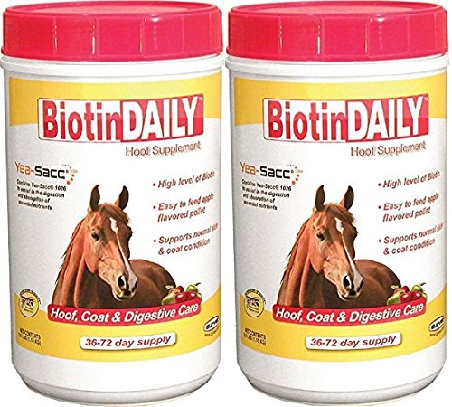 (2 Pack) Biotin Daily Hoof Care Supplement
