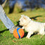 Small Kick Fetch Dog Toy (Pkg of 3)