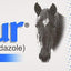 PANACUR Dewormer HORSE PASTE 10%, 100mg (Pack of 2)
