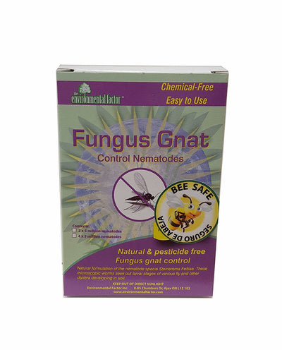 The Enviromental Factor Fungus Gnat Control Nematodes