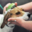 Coastal Pet Safari Comfort Grip Curry Brush for Dogs - Dog Bath and Shampoo B...