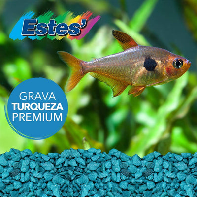 Spectrastone Special Turquoise Aquarium Gravel for Freshwater Aquariums, 5-Po...