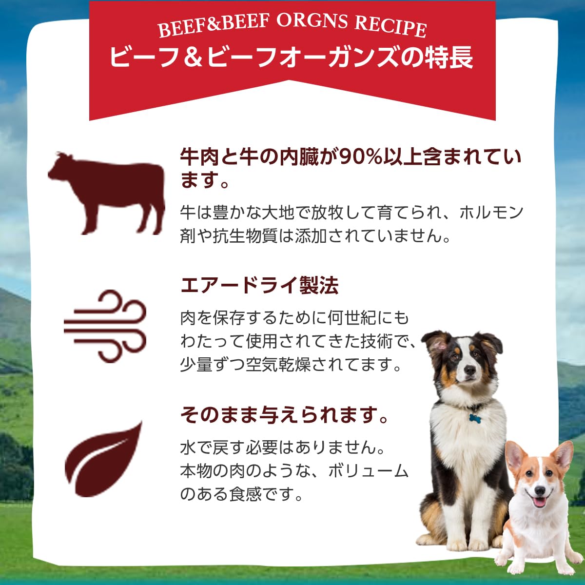 Grandma Mae's Country Naturals RawTernative Air Dried Dog Food 1 LB Beef and ...