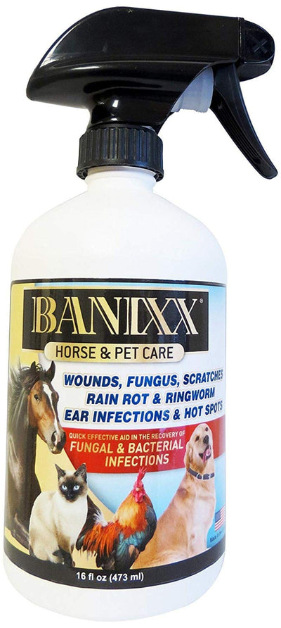 Banixx Horse and Pet Care 16 oz