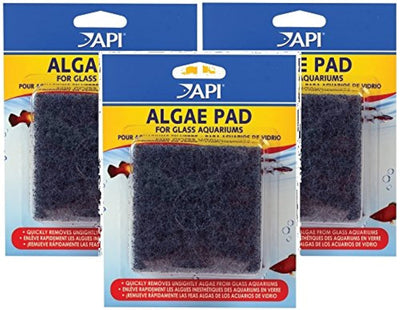 (3 Pack) API Hand Held Algae Pad - Glass