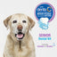 Nylabone Advanced Oral Care Senior Dog Dental Kit Bacon Flavor Small