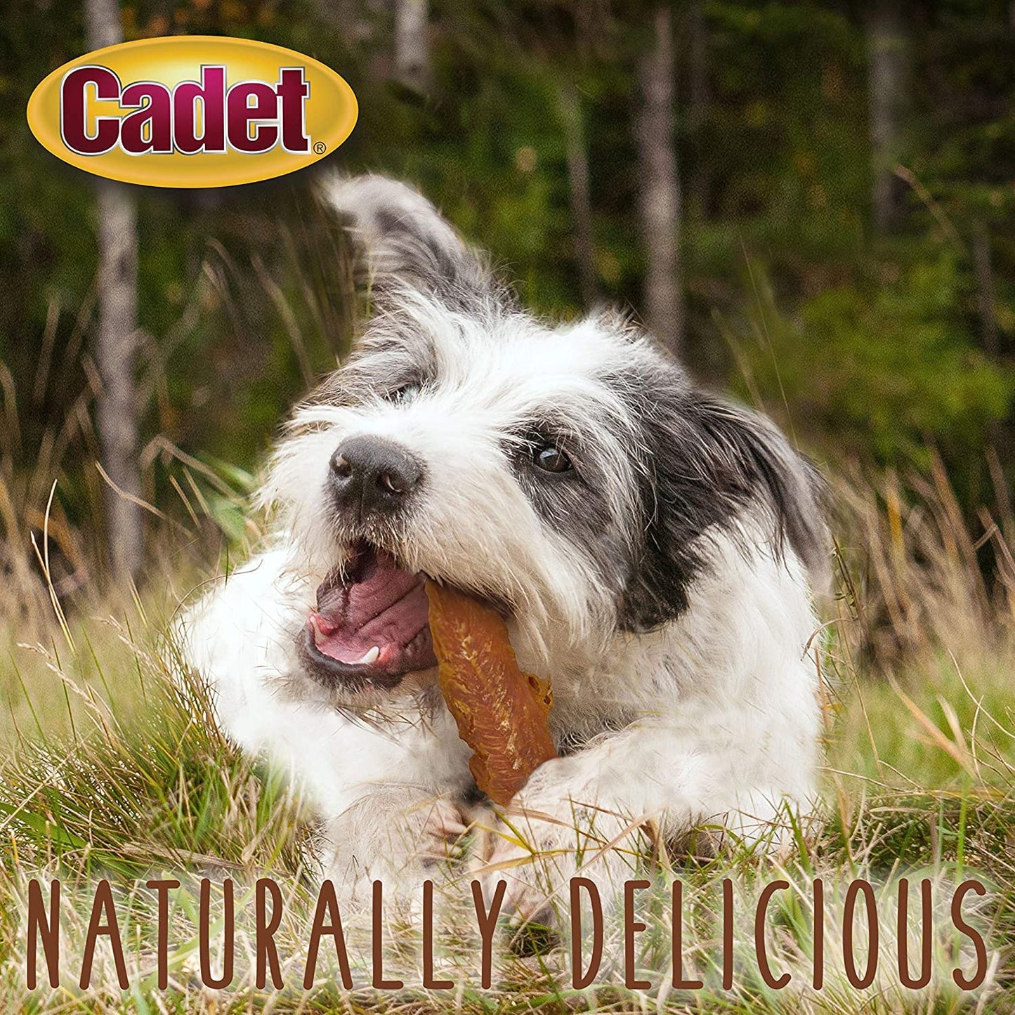 (3 Pack) Cadet Gourmet Chicken Breast Healthy Natural Dog Treats, 14 Ounces P...