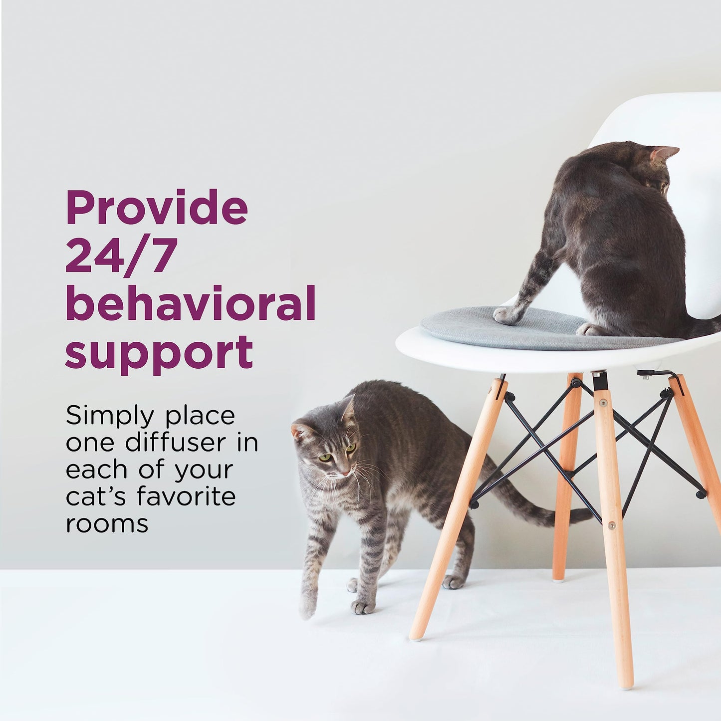 Comfort Zone Cat Multi-Cat Diffuser: Home Kit (2 Diffusers & 2 Refills)