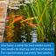 API Pond-Zyme Sludge Destroyer Pond Cleaner with Natural Pond Bacteria & Barley