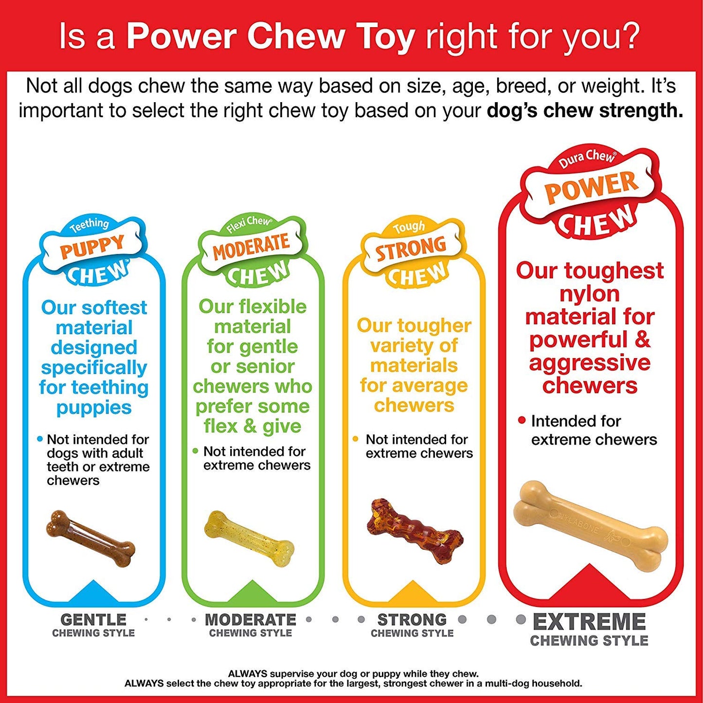 Nylabone 2 Pack of Power Chew Bison Bone Alternatives, Giant, Nylon Dog Toys