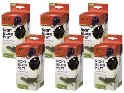 Zilla Night Time Black Light Incandescent Heat Bulb 100 Watts - Pack of 6
