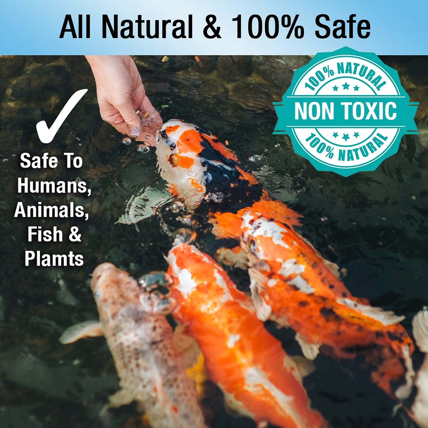 MICROBE-LIFT PL Pond Bacteria and Outdoor Water Garden Cleaner, Safe for Live...