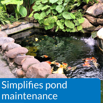API POND ECOFIX SLUDGE DESTROYER Pond Cleaner And Sludge Remover With Natural...
