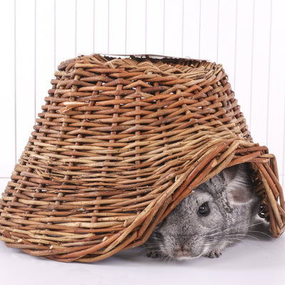 Ware Manufacturing Hand Woven Willow Twigloo Small Pet Hideout, Medium