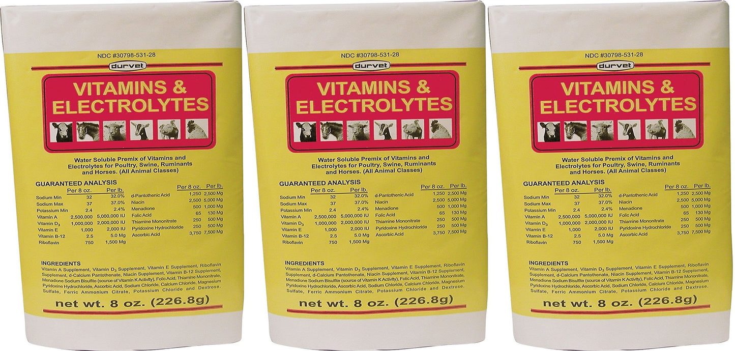 (3 Pack) DURVET 136028 vitamins & Electrolytes, 8 oz