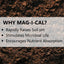 Jonathan Green (11353) Mag-I-Cal Soil Food for Lawns in Acidic Soil - Soil Am...