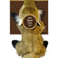 R&W Classicz, Assorted Squirrel, Rabbit, or Fox Dog Toy, Colors//Styles vary, 1 toy