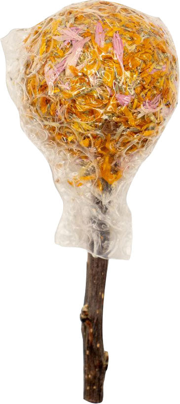 Nibbles Garden Crunch Hay Pops Small Animal Toy