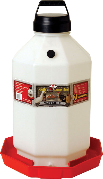 Little Giant Plastic Poultry Waterer
