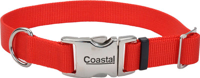 Adjustable Dog Collar W/ Metal Buckle