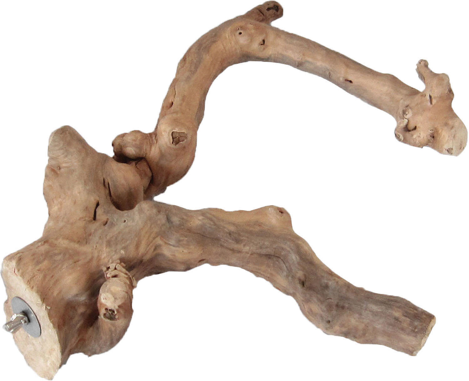 Java Wood Multi-Branch Perch