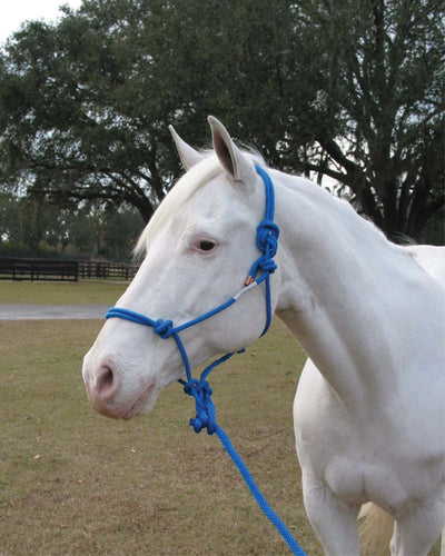 Hamilton Adult Rope Halter W/Lead