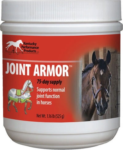 Joint Armor