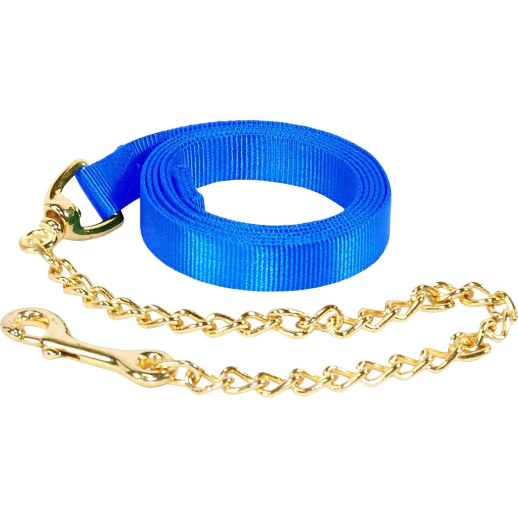 Hamilton Nylon Lead W/Chain & Snap