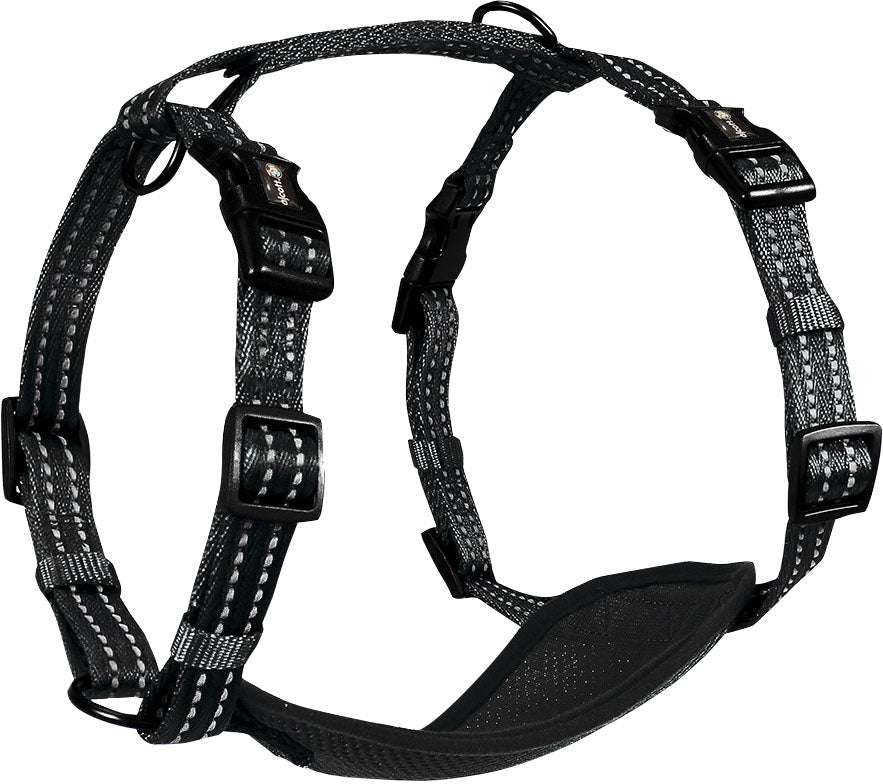 Alcott Adventure Harness