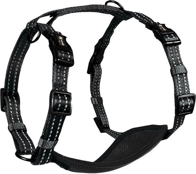 Alcott Adventure Harness