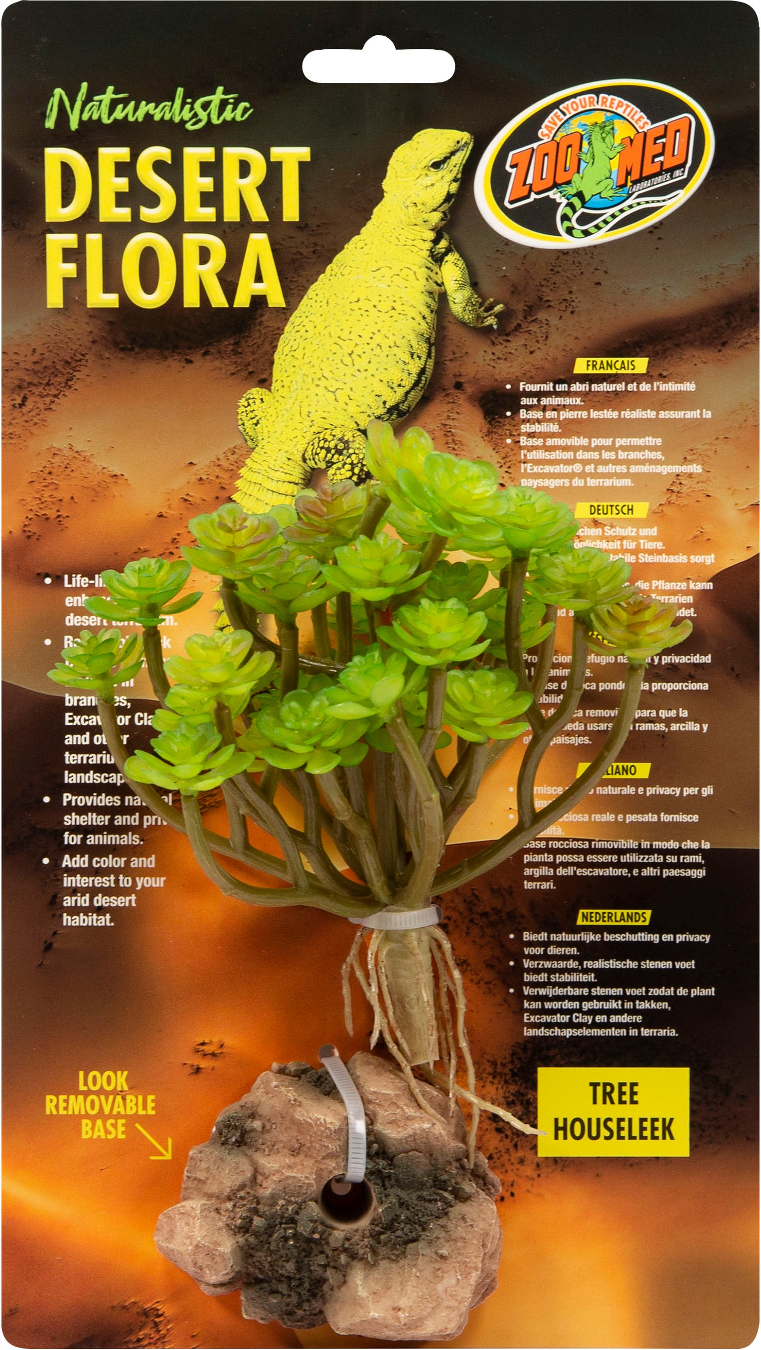 Naturalistic Desert Flora Plant