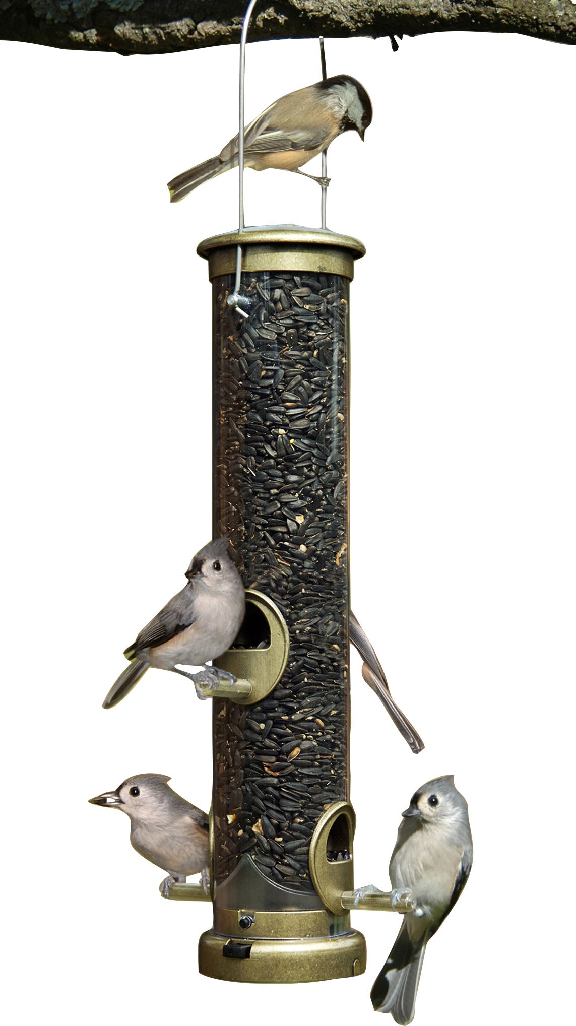 Quick-Clean Seed Tube Feeder
