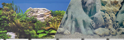 Double-Sided Tree Trunk/Freshwater Background