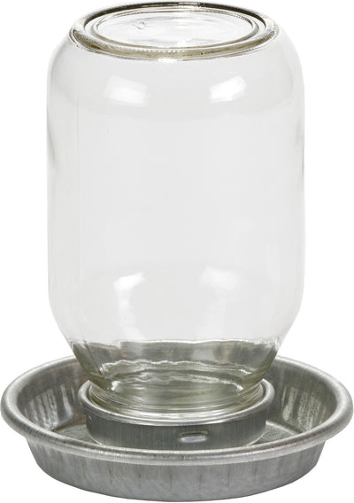 Little Giant Mason Jar Baby Chick Waterer W/Jar