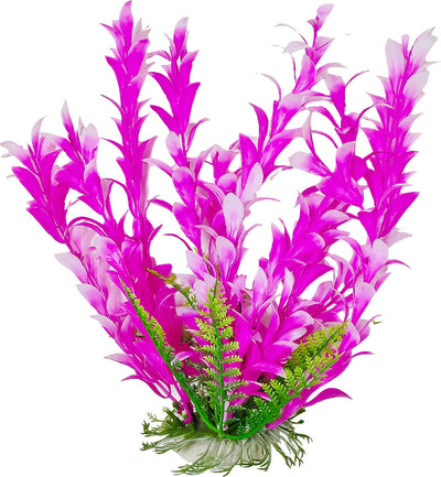 Bacopa-Like Weighted Aquarium Plant