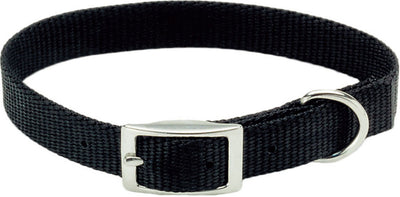 Single Ply Dog Collar