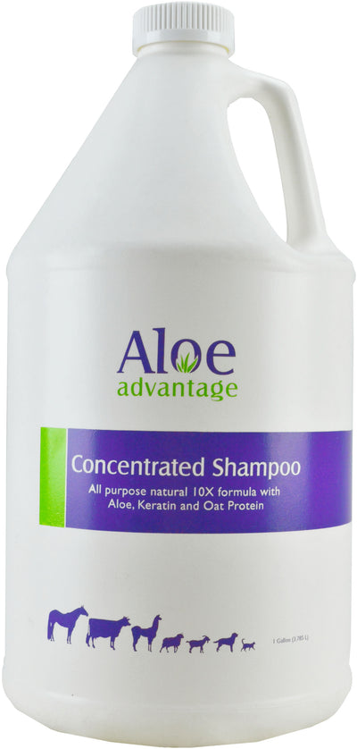 Aloe Advantage Concentrate Shampoo 10x
